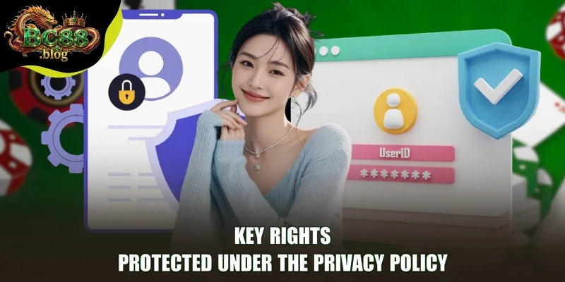 Key rights protected under the Privacy Policy