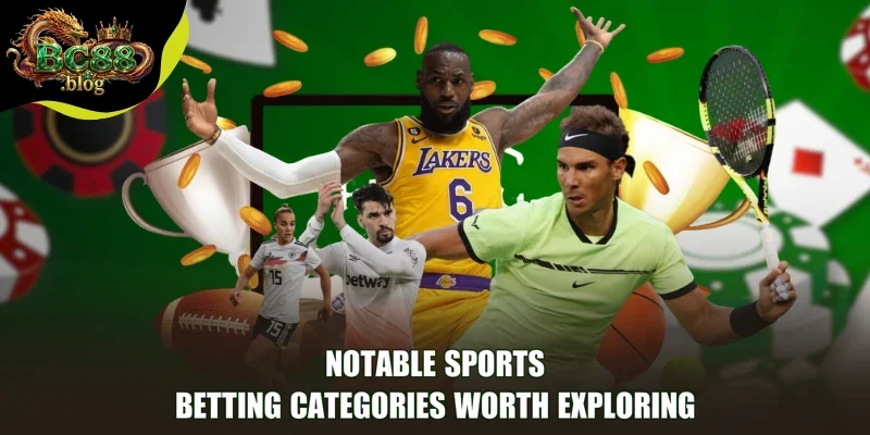 Notable Sports betting categories worth exploring